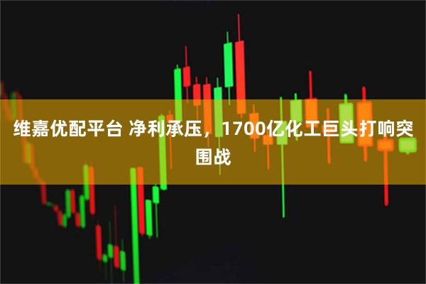维嘉优配平台 净利承压，1700亿化工巨头打响突围战