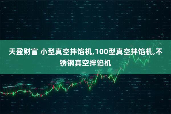 天盈财富 小型真空拌馅机,100型真空拌馅机,不锈钢真空拌馅机