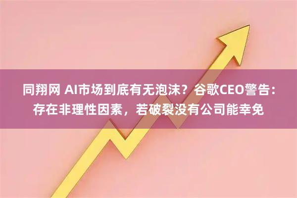 同翔网 AI市场到底有无泡沫？谷歌CEO警告：存在非理性因素，若破裂没有公司能幸免
