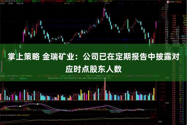 掌上策略 金瑞矿业：公司已在定期报告中披露对应时点股东人数