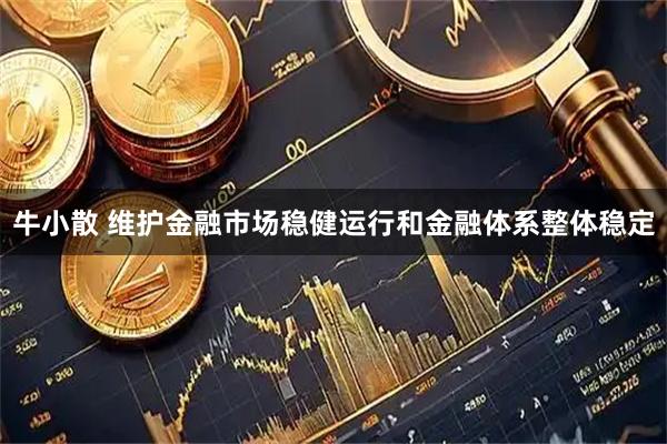牛小散 维护金融市场稳健运行和金融体系整体稳定