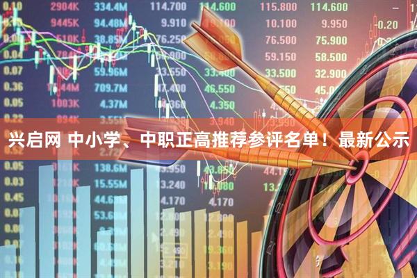 兴启网 中小学、中职正高推荐参评名单！最新公示