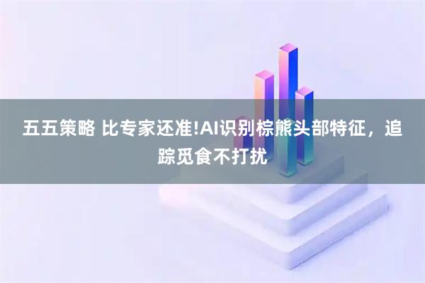 五五策略 比专家还准!AI识别棕熊头部特征，追踪觅食不打扰