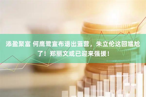 添盈聚富 何鹰鹭宣布退出蓝营，朱立伦这回尴尬了！郑丽文或已迎来强援！